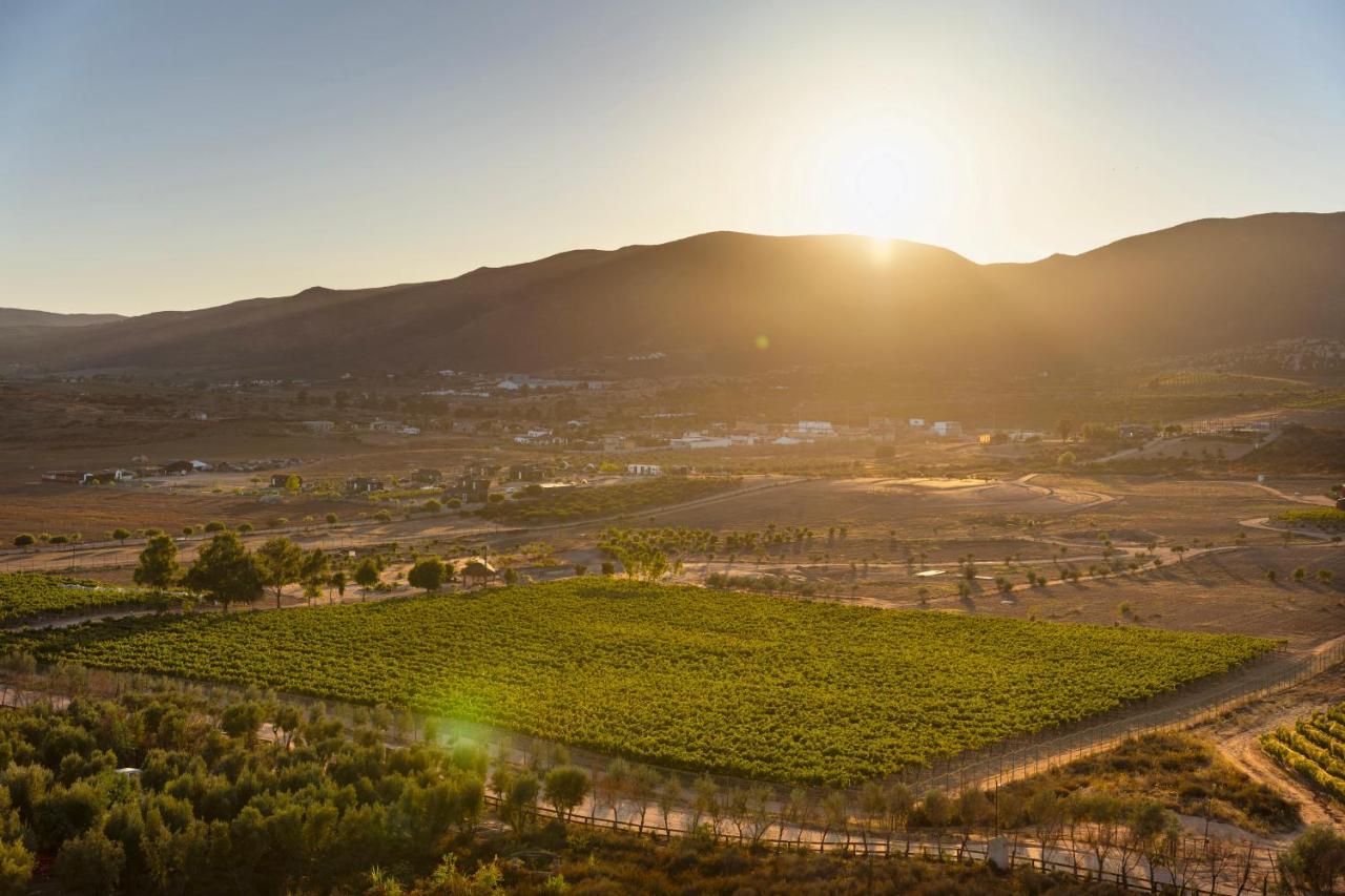 Banyan Tree Veya, Valle De Guadalupe - A Wellbeing & Wine Resort Exterior foto