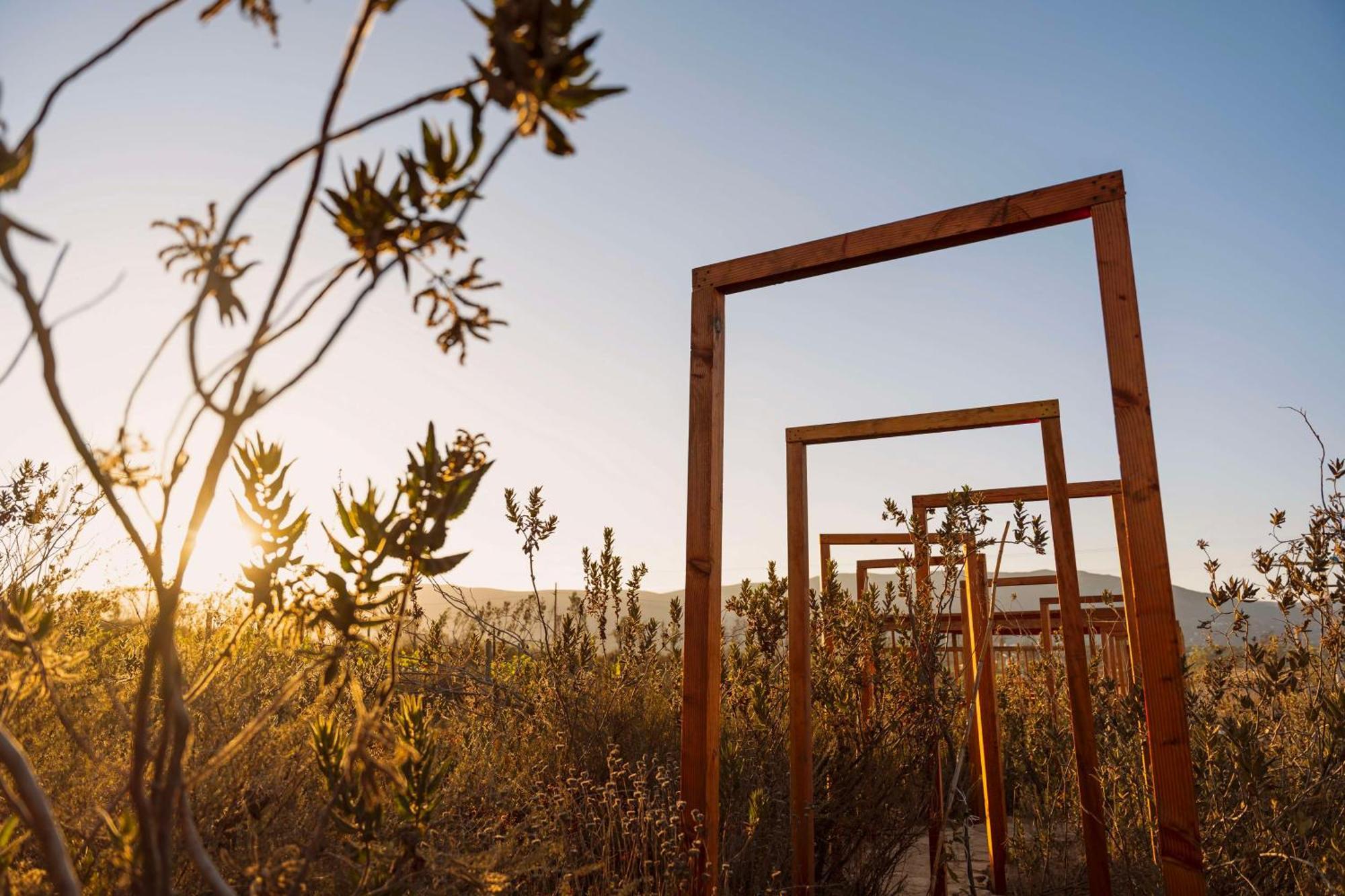 Banyan Tree Veya, Valle De Guadalupe - A Wellbeing & Wine Resort Exterior foto